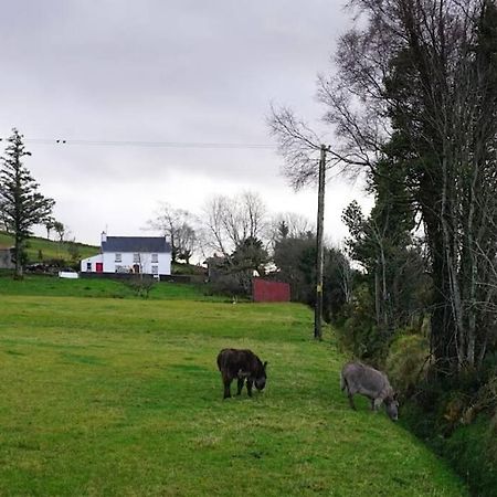 Meenadreen Cottage Donegal Town Luaran gambar