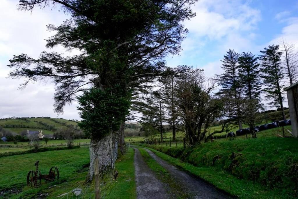 Meenadreen Cottage Donegal Town Luaran gambar