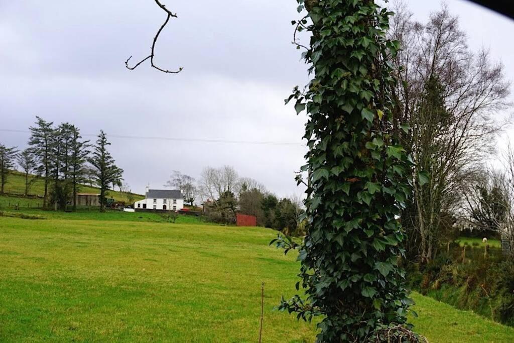 Meenadreen Cottage Donegal Town Luaran gambar
