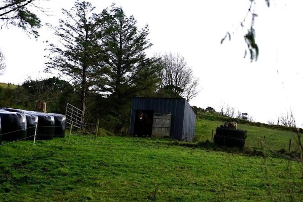 Meenadreen Cottage Donegal Town Luaran gambar