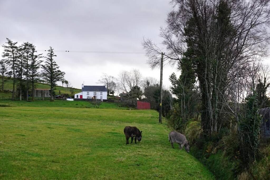 Meenadreen Cottage Donegal Town Luaran gambar